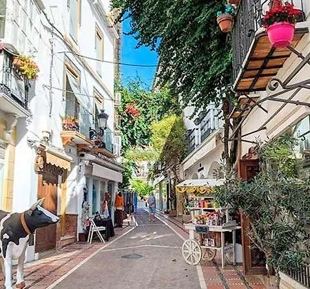Cozy 2-bed 2-bathroom In Town Centre Apartment Marbella